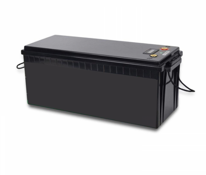 Акумуляторна батарея літієва Challenger LiFePO4 LF24-100 (Plastic box)
