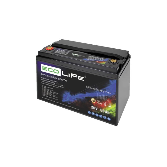 Литиевый аккумулятор EcoLiFe LF24-50 LiFePO4