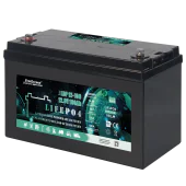 Акумуляторна батарея EverExceed LiFePO4 LDP 12-100 (12.8V-100AH)