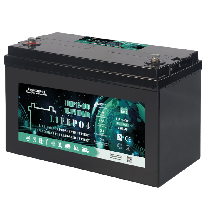 Аккумуляторная батарея EverExceed LiFePO4 LDP 12-100 (12.8V-100AH)