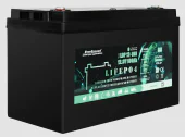 Аккумуляторная батарея EverExceed LiFePO4 LDP 12-100 (12.8V-100AH)
