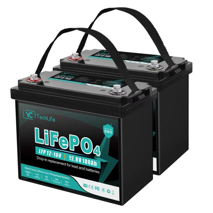 Акумуляторна батарея EverExceed LiFePO4 LDP 12-100 (12.8V-100AH)