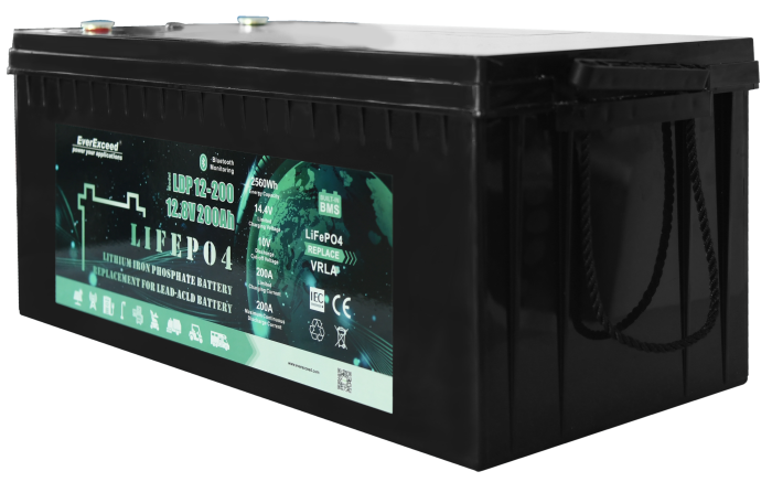 Аккумуляторная батарея EverExceed LiFePO4 LDP 12-200 (12.8V-200AH)