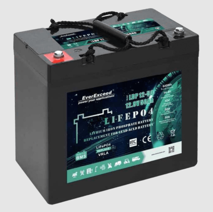 Аккумуляторная батарея EverExceed LiFePO4 LDP 12-50 (12.8V-50AH)