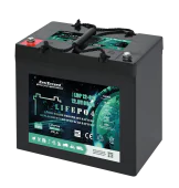 Аккумуляторная батарея EverExceed LiFePO4 LDP 12-60 (12.8V-60AH) Bluetooth