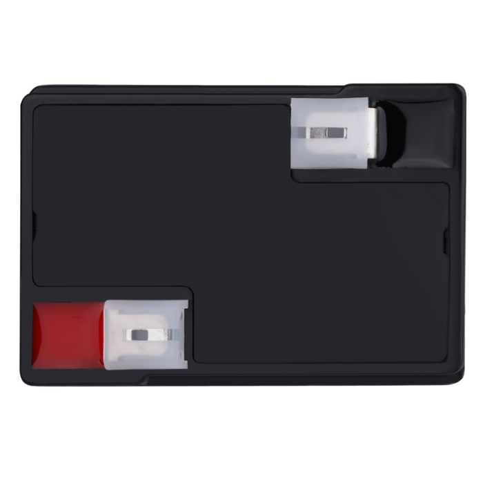 Акумуляторна батарея Gemix LP6-4.5