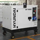 Дизельный генератор Hyundai DHY 14000SE