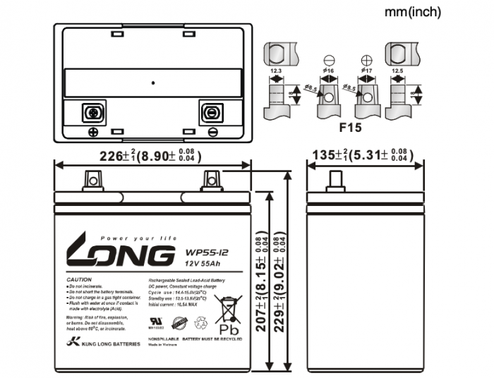 Акумуляторна батарея Kung Long WP55-12