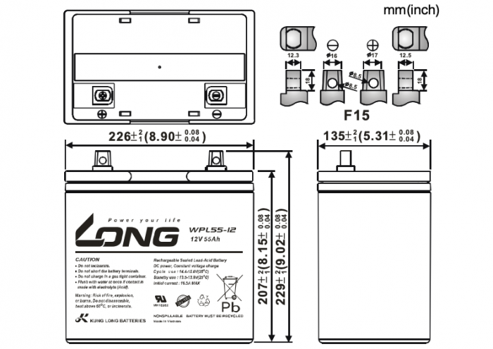 Акумуляторна батарея Kung Long WPL55-12