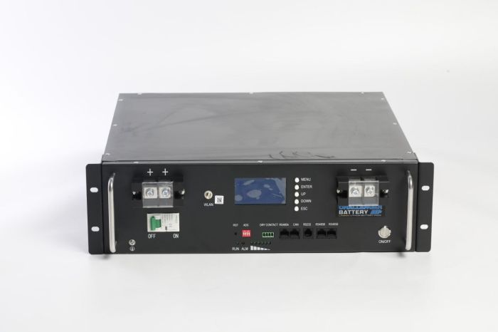 Аккумуляторная батарея литиевая Challenger LiFePO4 LF24-100