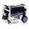 Генератор бензиновый Matari MX14003E