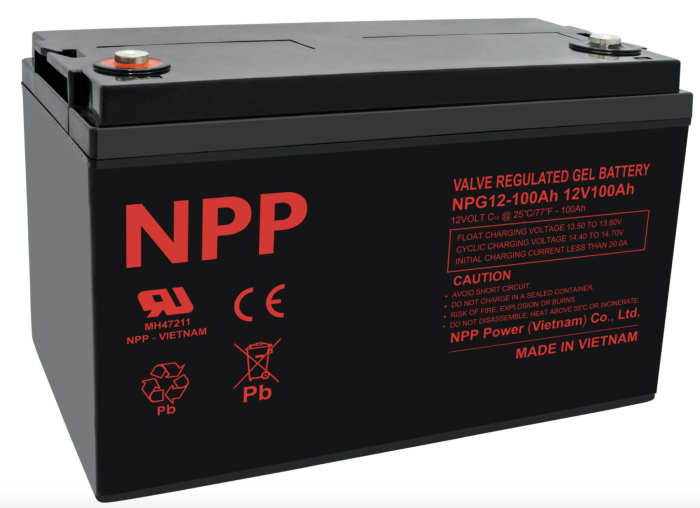 Аккумуляторная батарея NPP NPG 12-100 (GEL)